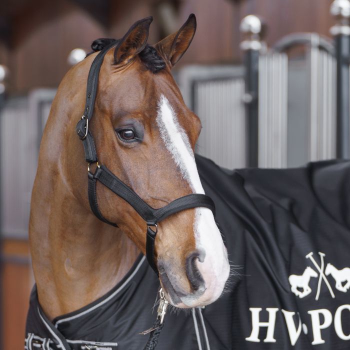 Headcollar HVPEssential - 9000 - Black