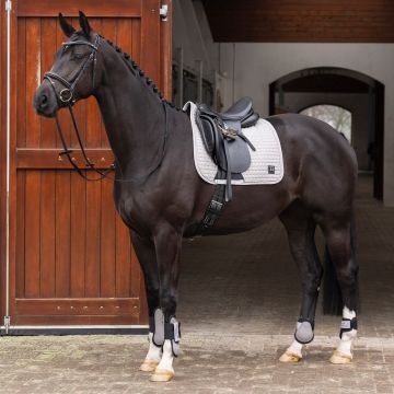 Schabracke HVP-Dae Dressur -  Pebble