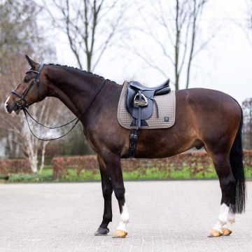 Schabracke HVP-Dae Dressur -  Stone