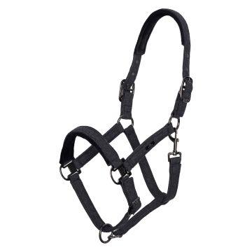 Halfter HVPFrancis -  Black