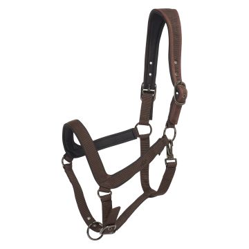 Halfter HVP-Essential -  Straw
