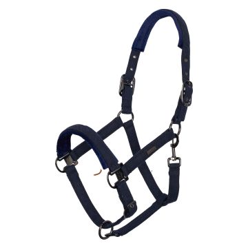 Halfter HVPFrancis -  Navy