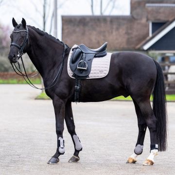 Schabracke HVP-Dewi Dressur -  Pebble