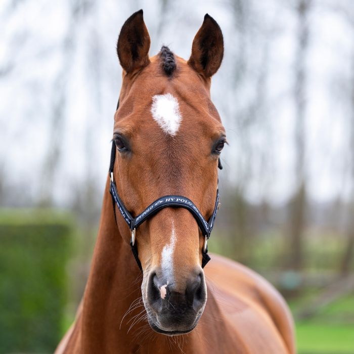Headcollar HVPNena - 9000 - Black