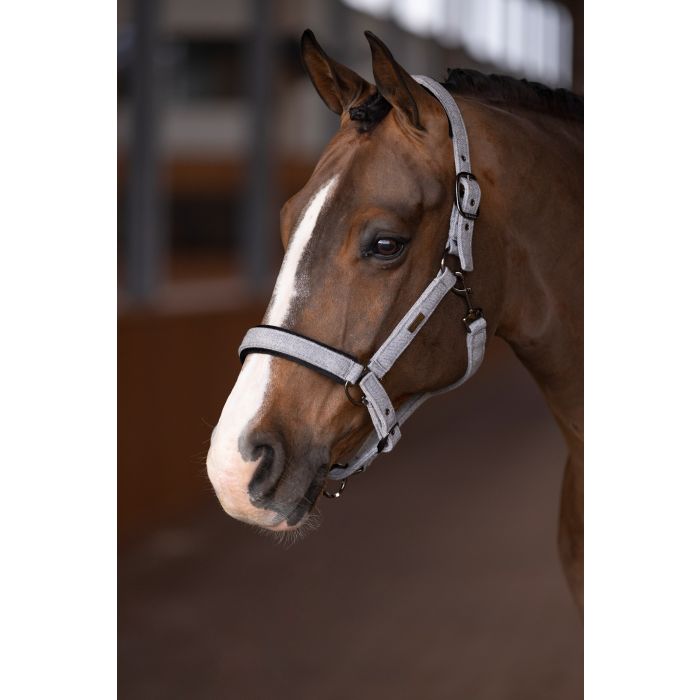 Headcollar HVPFrancis - 7000 - Grey