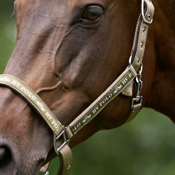 Headcollar HVPNena - 8095 - Straw
