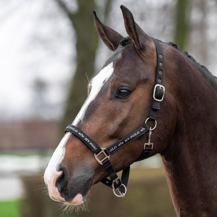 Headcollar HVPNena - 9000 - Black