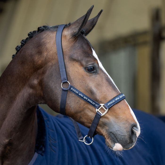 Headcollar HVPNena - 5001 - Navy