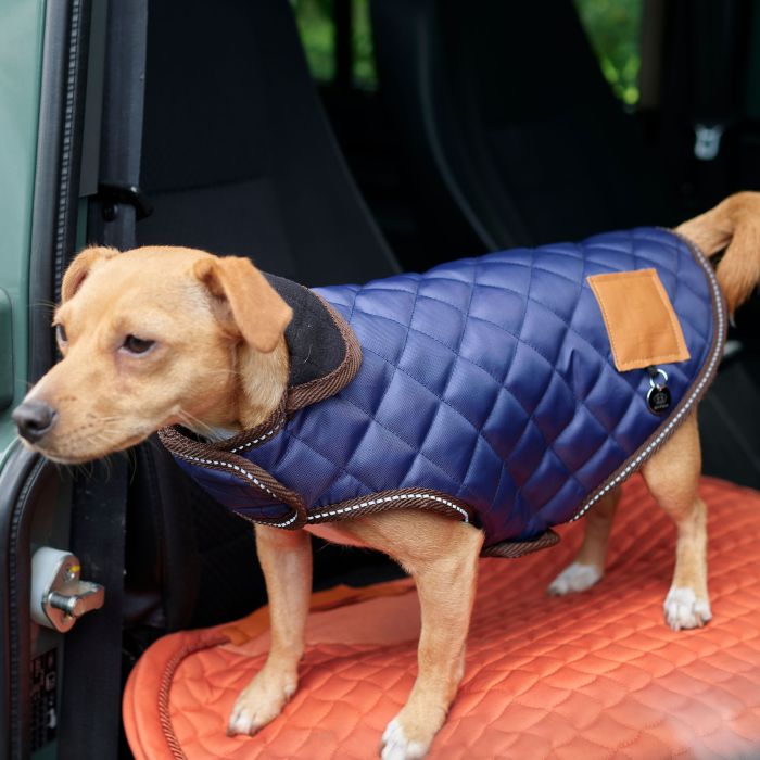 Dog coat HVPBobby - 5001 - Navy Dog coat HVPBobby - 5001 - Navy