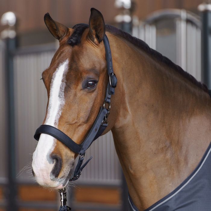 Headcollar HVPEssential - 5001 - Navy