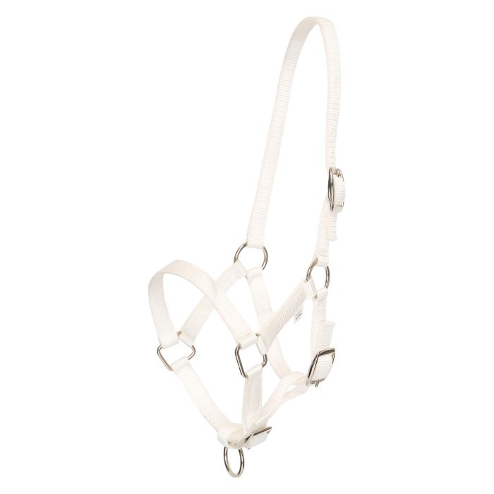 Headcollar foal HVPNena - 0001 - White Headcollar foal HVPNena - 0001 - White