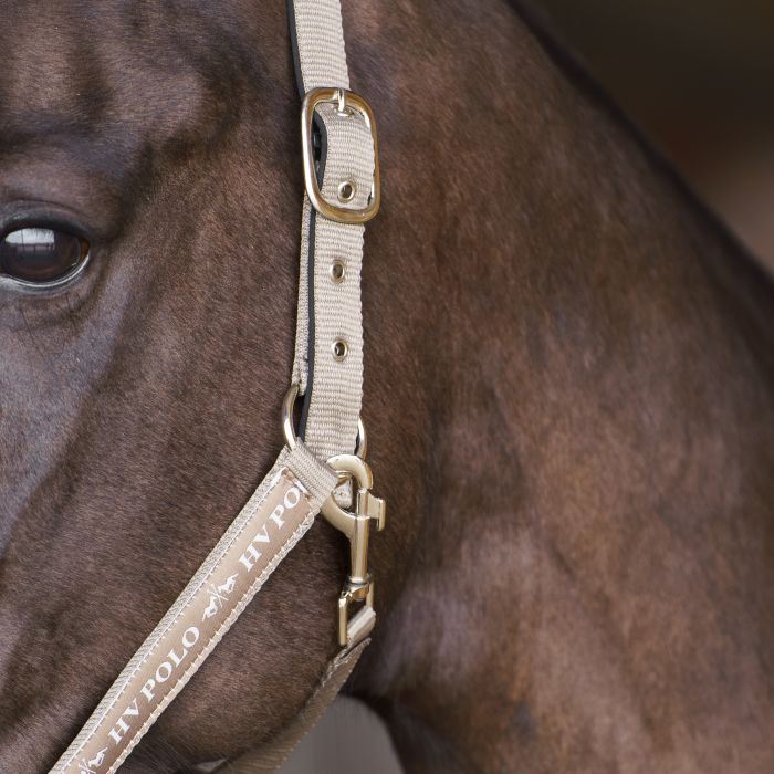 Headcollar HVPNena - 7029 - Pebble
