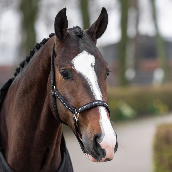 Headcollar HVPNena - 9000 - Black