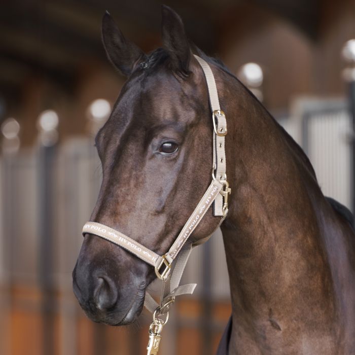 Headcollar HVPNena - 7029 - Pebble
