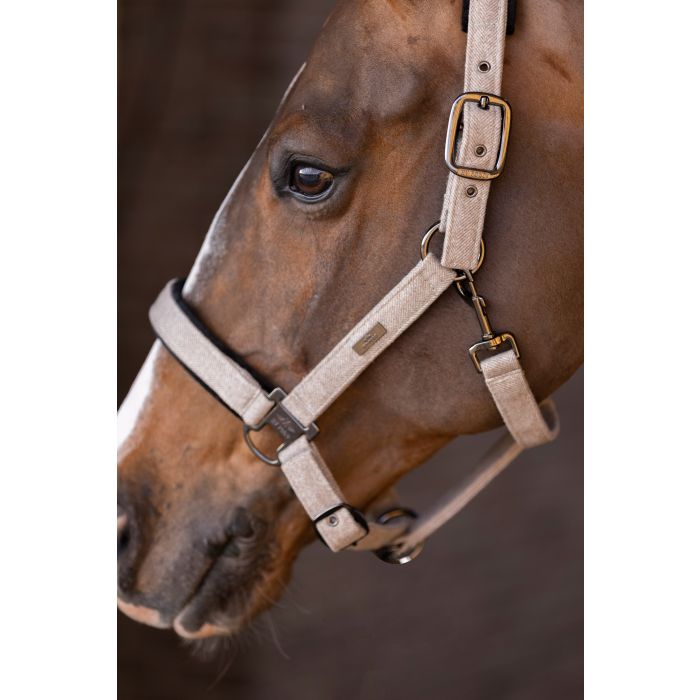 Headcollar HVPFrancis - 1002 - Beige