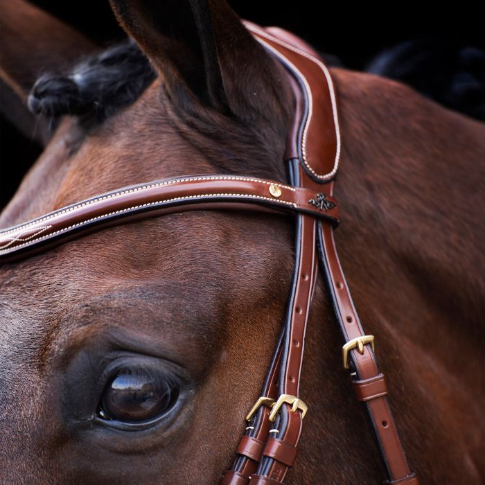 Bridle HVPLegacy - 8000 - Brown