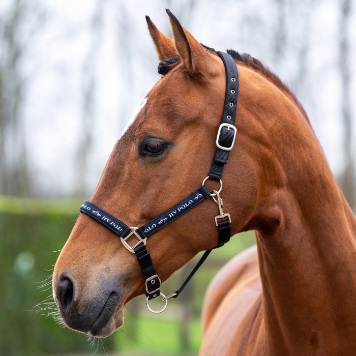 Headcollar HVPNena - 9000 - Black