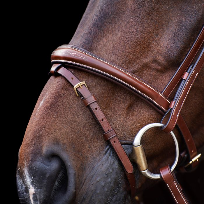 Bridle HVPLegacy - 8000 - Brown