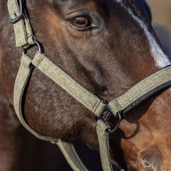 Headcollar HVPFrancis - 6115 - Dark oil green