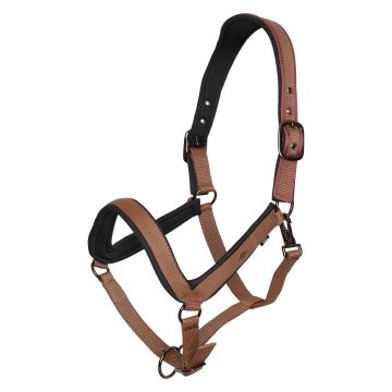 Halfter HVP-Essential -  Fox