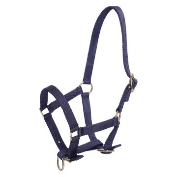 Halfter foal HVP-Nena -  Navy