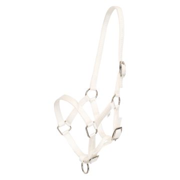 Halfter foal HVP-Nena -  White