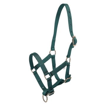 Halfter foal HVP-Nena -  Duck green