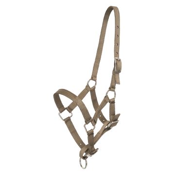 Halfter foal HVP-Nena -  Straw