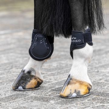 Gamaschen und Streichkappen HVP-Classic -  Black