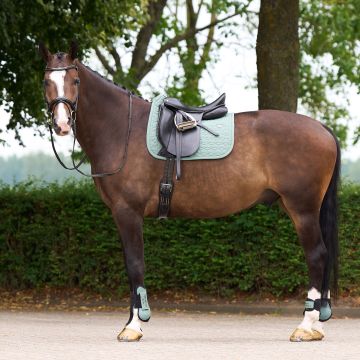 Schabracke HVP-Essential Dressur -  Greenery