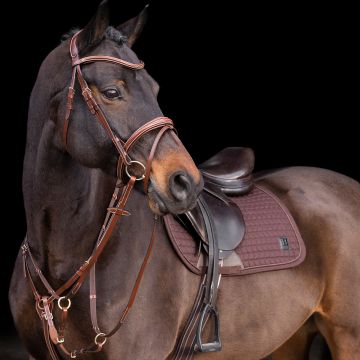 Martingal HVP-Legacy -  Brown