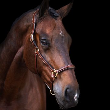 Halfter HVP-Legacy -  Brown