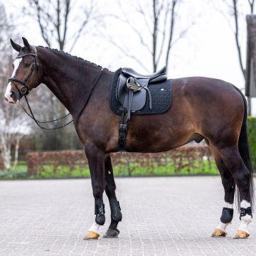 Schabracke HVP-Essential Dressur -  Black
