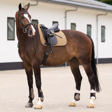 Schabracke HVP-Essential Dressur -  Straw