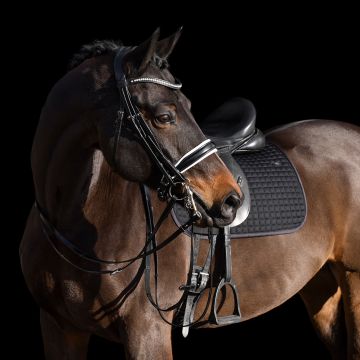 Schabracke HVP-Legacy Dressur -  Black