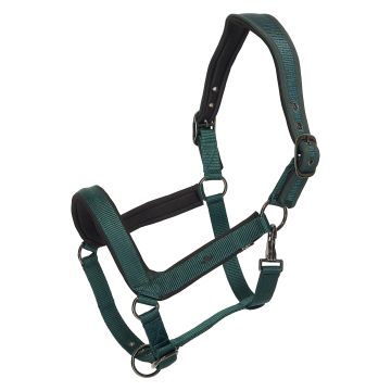 Halfter HVP-Essential -  Duck green