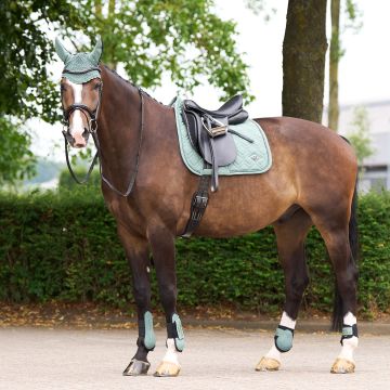 Schabracke HVP-Classic Dressur -  Greenery