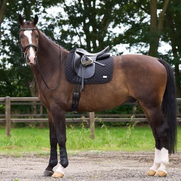 Schabracke HVP-Pro performance Dressur -  Black