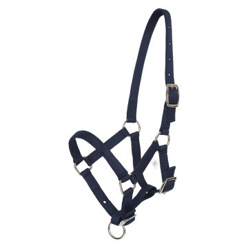 Halfter foal HVP-Nena -  Navy