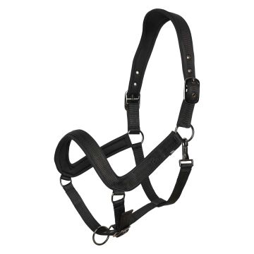 Halfter HVP-Essential -  Black
