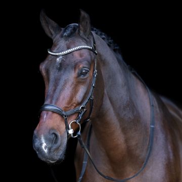 Trense HVP-Legacy Anatomisch deluxe -  Black