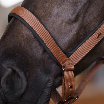 Halfter HVP-Essential -  Fox