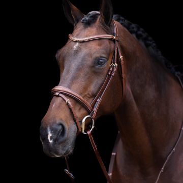 Trense HVP-Legacy -  Brown