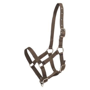 Halfter foal HVP-Nena -  Black